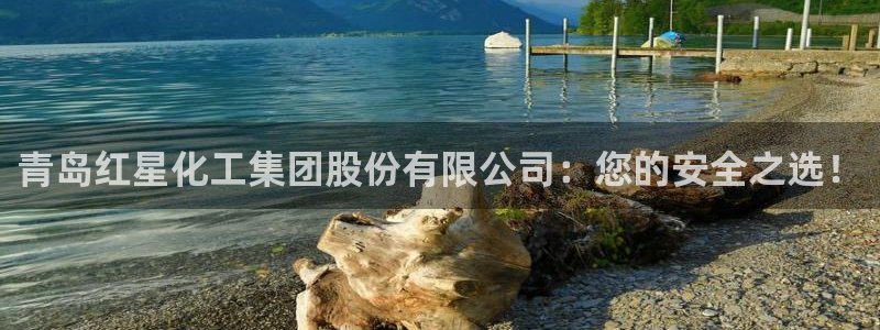 球盟会官网入口：青岛红星化工集团股份有限公司：您的安全之选！