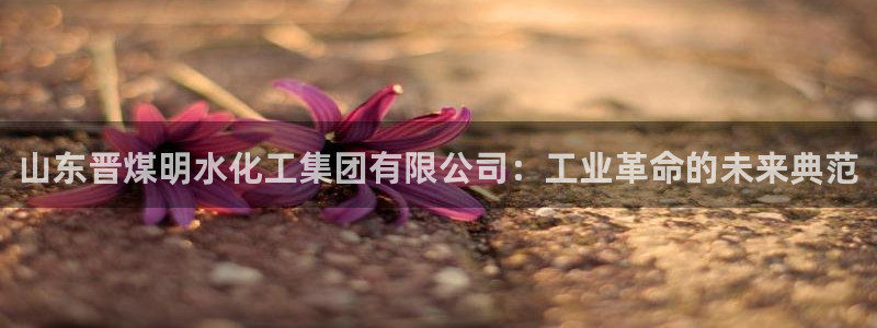 球盟会(中国)官方网站：山东晋煤明水化工集团有限公司：工业革
