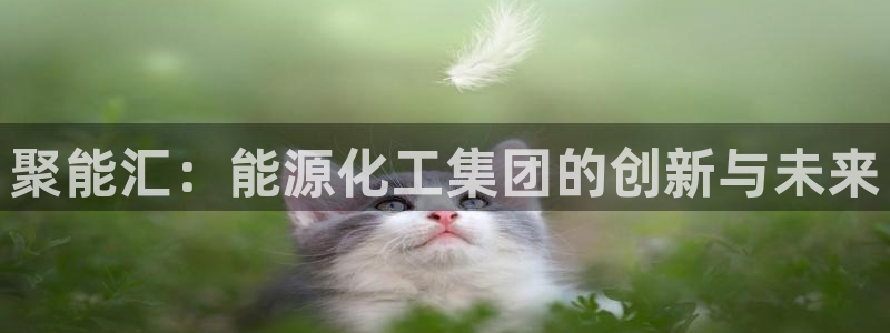 球盟会可以提现么现在：聚能汇：能源化工集团的创新与未来