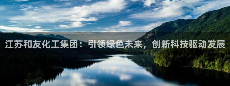 球盟会官方入口：江苏和友化工集团：引领绿色未来，创新科技驱动
