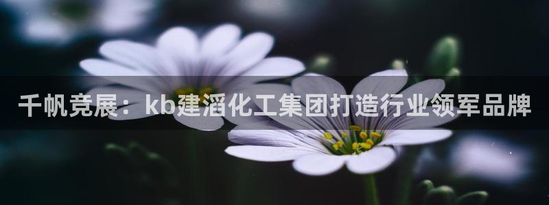 球盟会体育app官方网站：千帆竞展：kb建滔化工集团打造行业