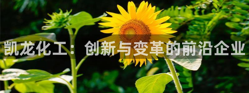 球盟会吧：凯龙化工：创新与变革的前沿企业