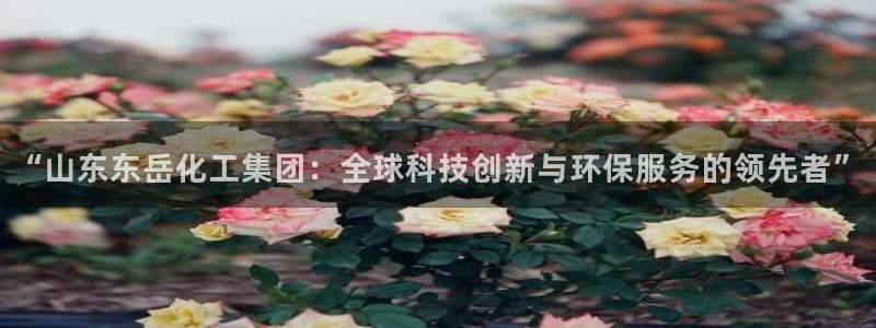 球盟会qm9：“山东东岳化工集团：全球科技创新与环保服务的领