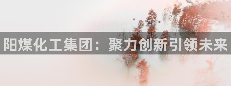 球盟会平台会黑单吗：阳煤化工集团：聚力创新引领未来