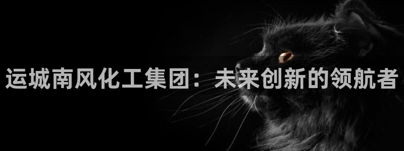 球盟会能提现吗是真的吗：运城南风化工集团：未来创新的领航者