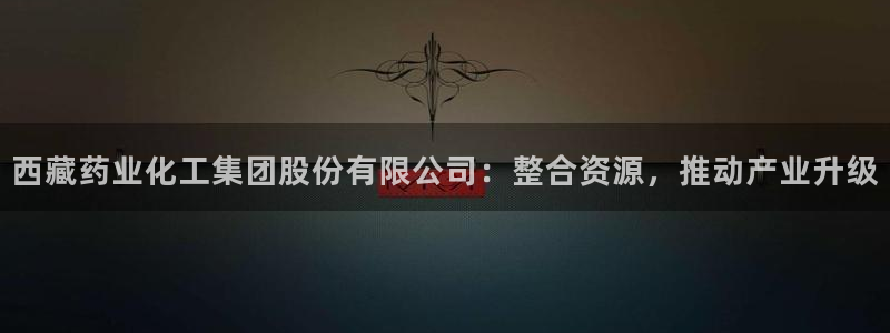 球盟会APP下载：西藏药业化工集团股份有限公司：整合资源，推