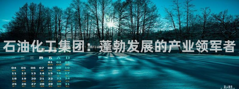 球盟会官方登录平台入口