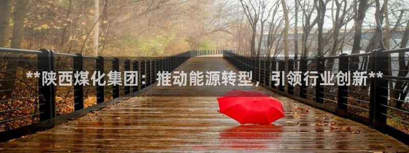 球盟会在线登录：**陕西煤化集团：推动能源转型，引领行业创新