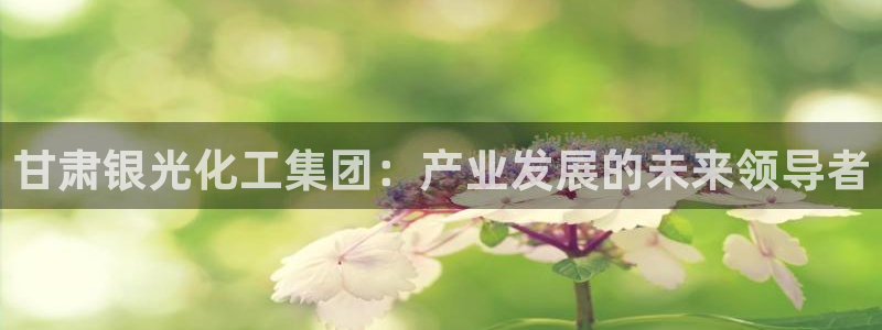 球盟会APP官网：甘肃银光化工集团：产业发展的未来领导者