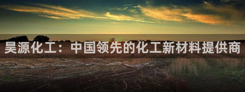 球盟会电子游戏平台：昊源化工：中国领先的化工新材料提供商