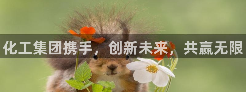 球盟会官方app首页入口：化工集团携手，创新未来，共赢无限