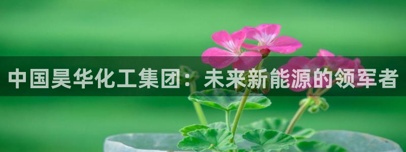 球盟会优惠领取网站：中国昊华化工集团：未来新能源的领军者