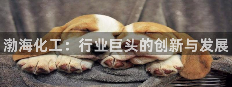 球盟会电子游戏平台