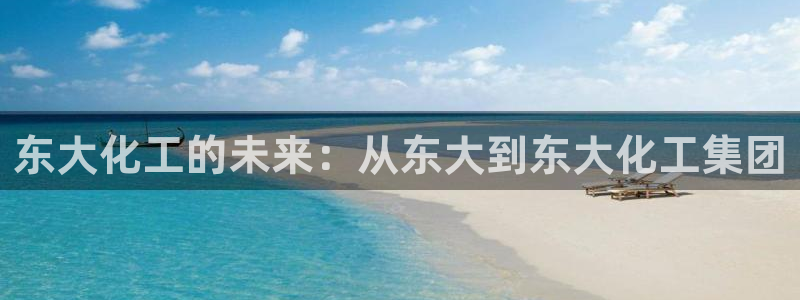 球盟会优惠领取网站：东大化工的未来：从东大到东大化工集团