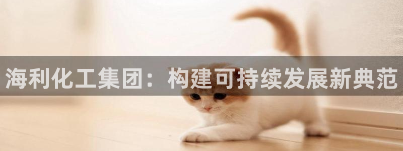 球盟会黑款吗还是白款：海利化工集团：构建可持续发展新典范