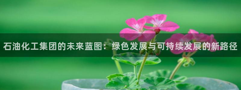 球盟会在线登录：石油化工集团的未来蓝图：绿色发展与可持续发展