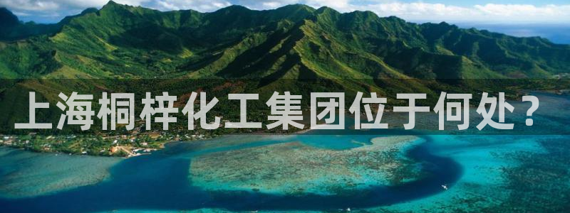 球盟会app网址多少号：上海桐梓化工集团位于何处？