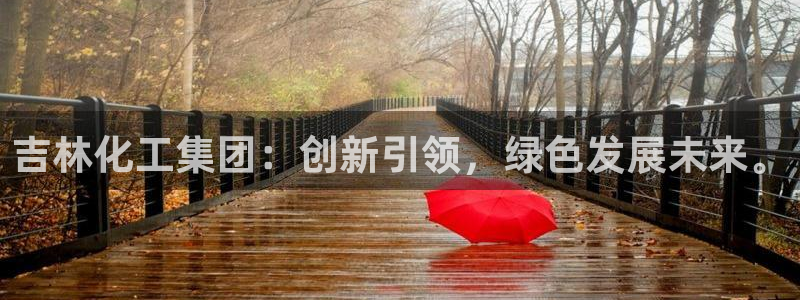 球盟会进不去吗：吉林化工集团：创新引领，绿色发展未来。