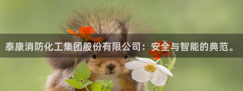 球盟会平台怎么样：泰康消防化工集团股份有限公司：安全与智能的