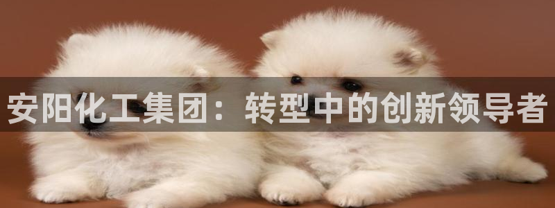 球盟会头号玩家是谁：安阳化工集团：转型中的创新领导者