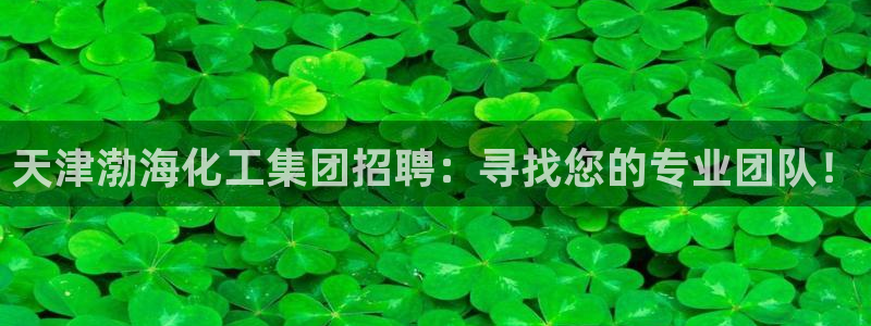 球盟会网址多少