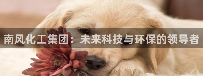 球盟会官网登录入口