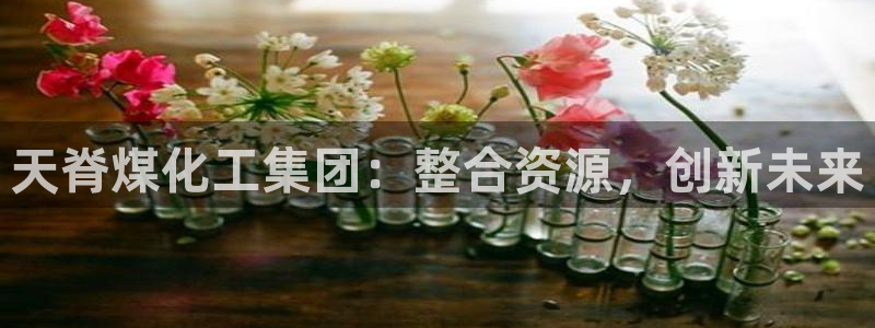 球盟会最新活动