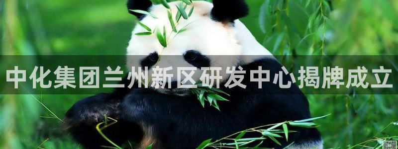 球盟会官网入口