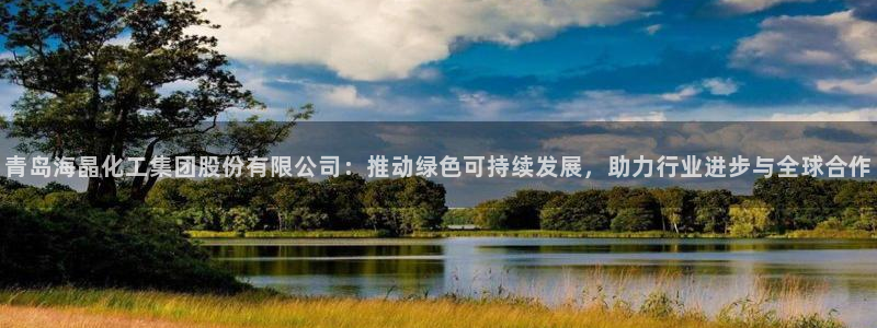 球盟会黑台子吗