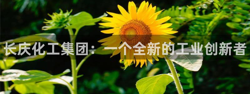 球盟会黑款吗还是白款：长庆化工集团：一个全新的工业创新者