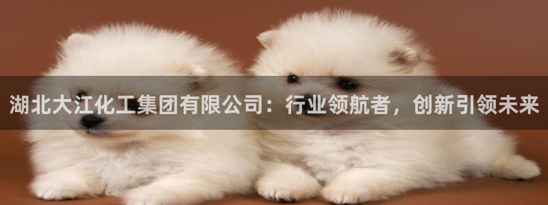 球盟会可以提现么是真的吗：湖北大江化工集团有限公司：行业领航
