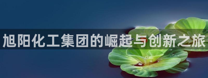 球盟会网页登录入口