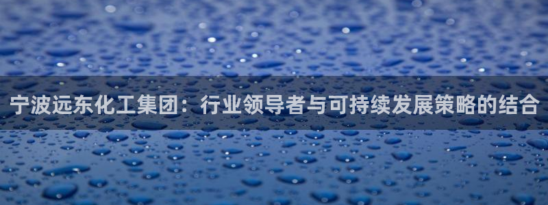球盟会和中欧：宁波远东化工集团：行业领导