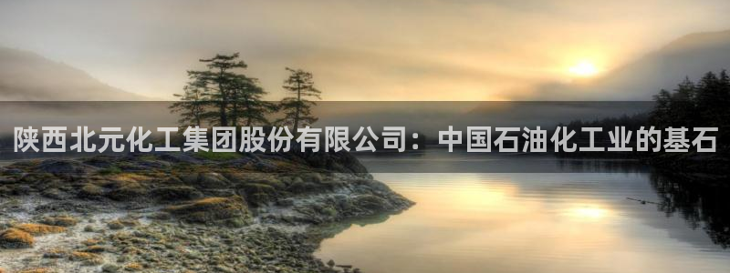 球盟会论坛：陕西北元化工集团股份有限公司