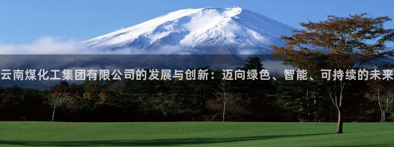 球盟会黑款吗知乎小说：云南煤化工集团有限