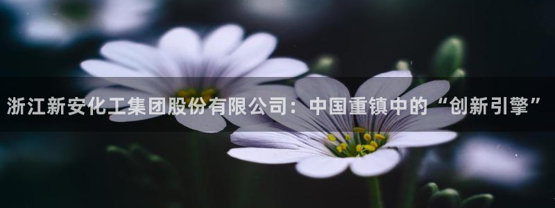 球盟会可以提现么是真的吗：浙江新安化工集