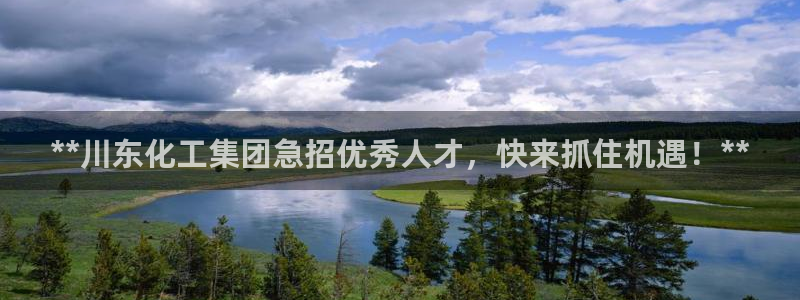 球盟会黑款吗知乎小说