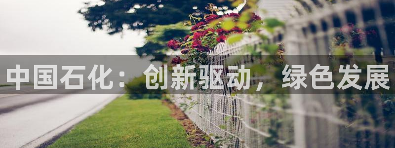 球盟会App：中国石化：创新驱动，绿色发展