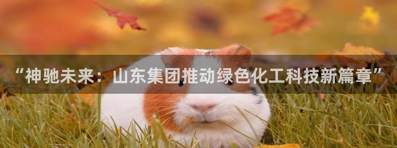 球盟会qmh：“神驰未来：山东集团推动绿色化工科技新篇章”