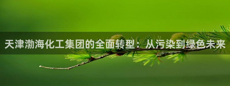 球盟会下款快吗：天津渤海化工集团的全面转