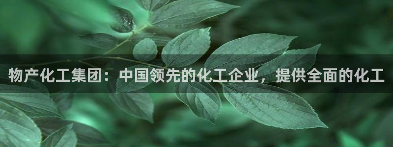 球盟会app最新地址下载：物产化工集团：中国领先的化工企业，