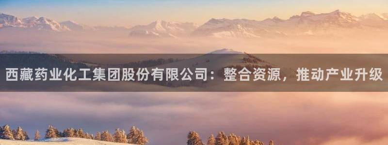 球盟会qmh网址：西藏药业化工集团股份有限公司：整合资源，推