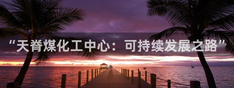 球盟会App：“天脊煤化工中心：可持续发
