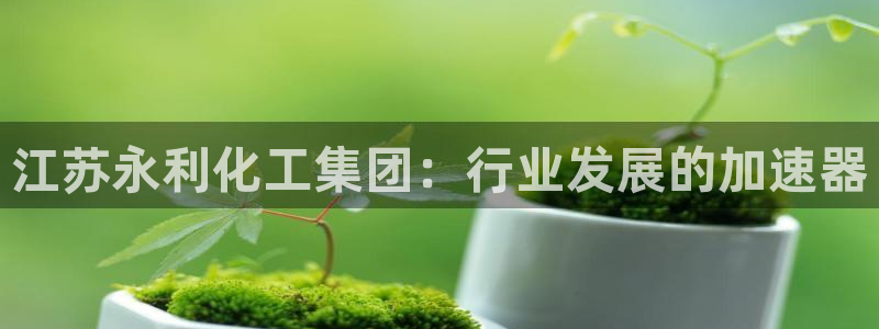 球盟会app网址多少：江苏永利化工集团：