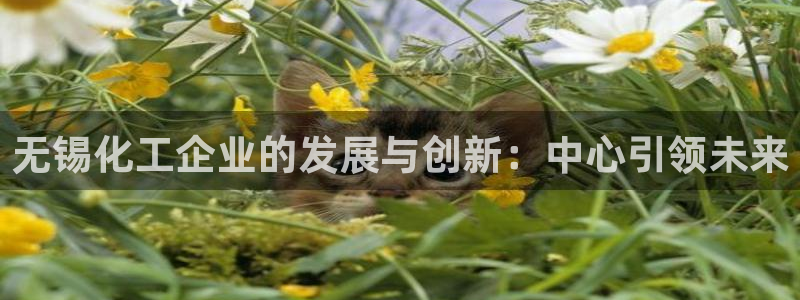 球盟会能退钱吗：无锡化工企业的发展与创新