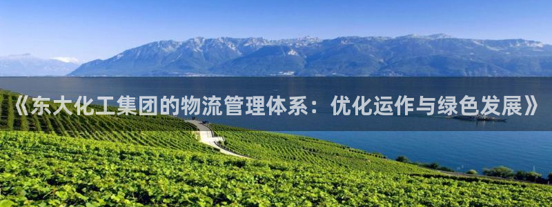 球盟会平台怎么样：《东大化工集团的物流管