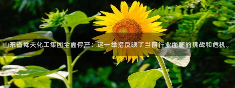 球盟会qmh：山东省舜天化工集团全面停产：这一举措反映了当前